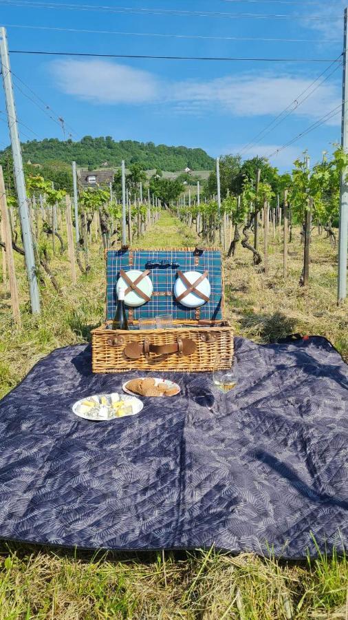 Jera Pince és Vendégház Somlovasarhely Exterior foto
